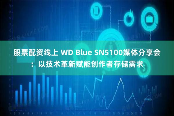 股票配资线上 WD Blue SN5100媒体分享会：以技术革新赋能创作者存储需求