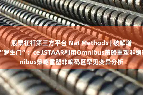 股票杠杆第三方平台 Nat Methods | 破解增强子-靶基因连接“罗生门”：cellSTAAR利用Omnibus策略重塑非编码区罕见变异分析